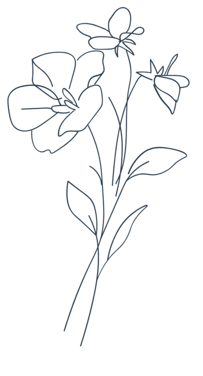 line art motif fleurs line art fleurs